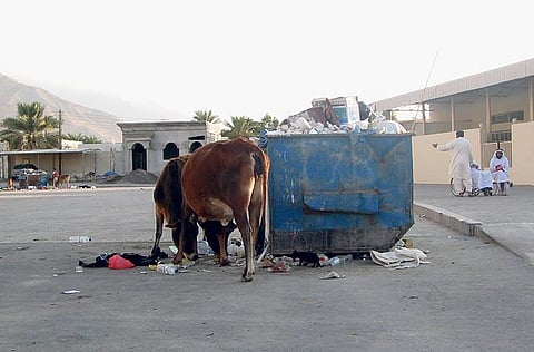 Nasouh Nazzal/Gulf News