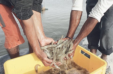 Images used for illustrative purposes 