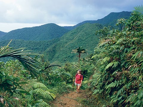 Making room for nature