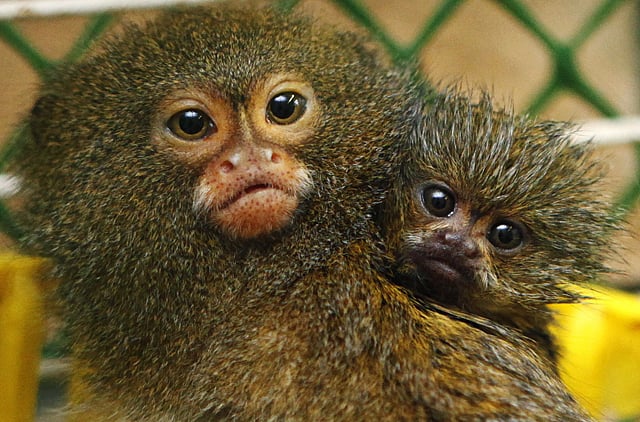 1.1489200-1821964341