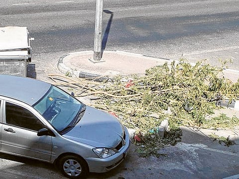 Reema Ahuja/Gulf News Reader