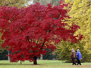 Europe to review ties with Switzerland after immigration vote