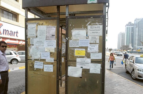 P. C. Omar/Gulf News reader