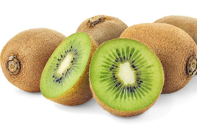 1.1040666-2497438348