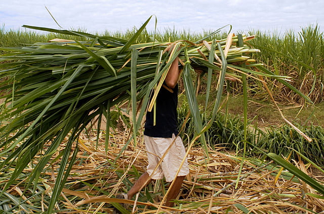 1.2228974-3590855443