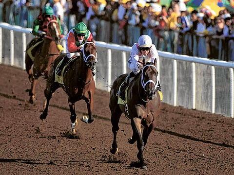 Megan Hirons Mahon/Gulf News 