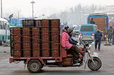 Vendors haul goods at the Xinfadi open-air wholesale market in Beijing [File image used for illustrative purposes]
