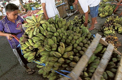 A boy unloads bananas at a market in Quezon city, suburban Manila. Poorer and smaller countries, facing severely limited vaccine supplies and fewer resources to support government spending, are likely to struggle to stage an economic turnaround even if the US recovery increases demand for their exports.