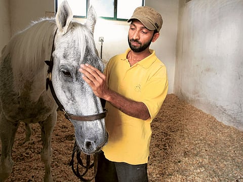 Megan Hirons Mahon/Gulf News