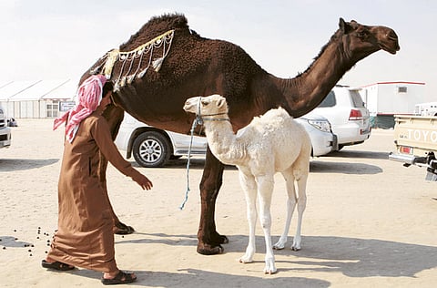 Abdul Rahman/Gulf News