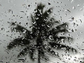 12-year-old boy drowns in Sharjah wadi