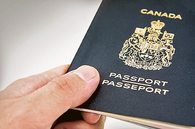 1.1195884-1561302747