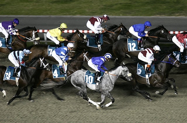 1.1334060-1206293552