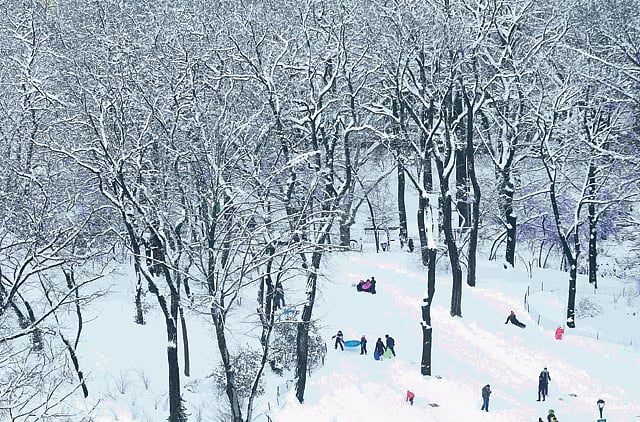 1.2157622-3031255789