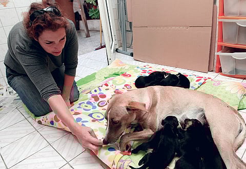 MEGAN HIRONS MAHON/Gulf News