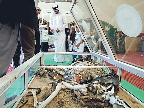 Francois Nel/Gulf News