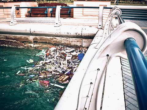 Kiran Qureshi/Gulf News Reader