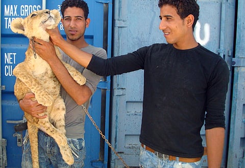 Ahmed Ramzan/Gulf News