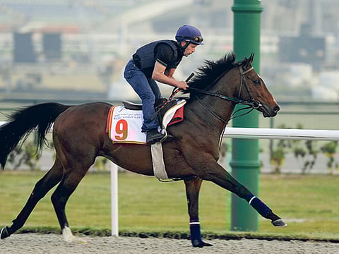 ANDREW WATKINS/DUBAI RACING CLUB