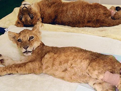 Ahmed Ramzan/Gulf News