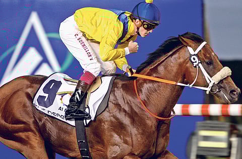 FRANCOIS NEL/Gulf News