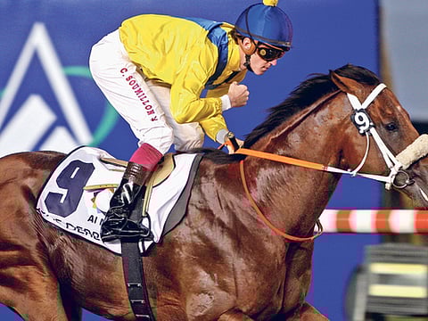 FRANCOIS NEL/Gulf News