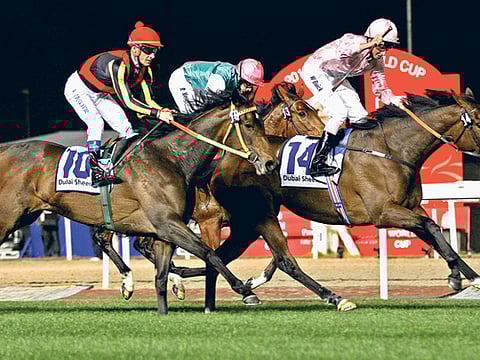 VIRENDRA SAKLANI/Gulf News