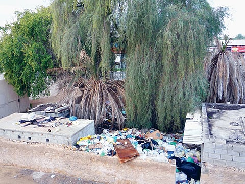 Viju Philip/Gulf News Reader