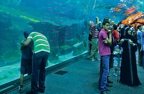 Xpress /Zarina Fernandes