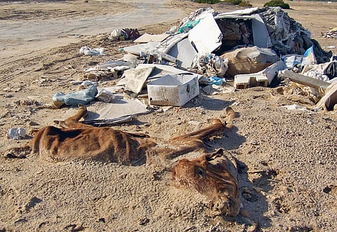 Fausiv Rahman/Gulf News Reader