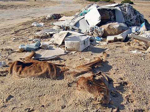 Fausiv Rahman/Gulf News Reader