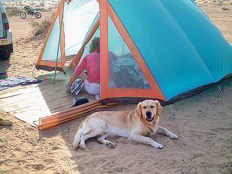 Maria van Dooren/Gulf News Reader