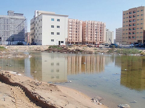 Syed Kabir/ Gulf News Reader