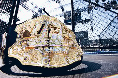 The UFC and the Octagon are set to come to the beach of Abu Dhabi