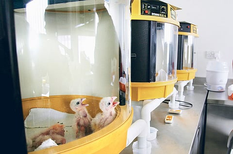 For illustrative purpose only