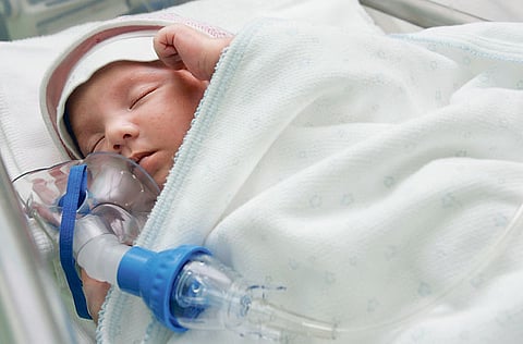 Xpress / Zarina Fernandes