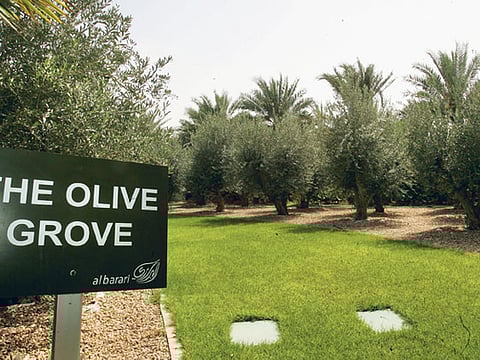 Xpress /Zarina Fernandes