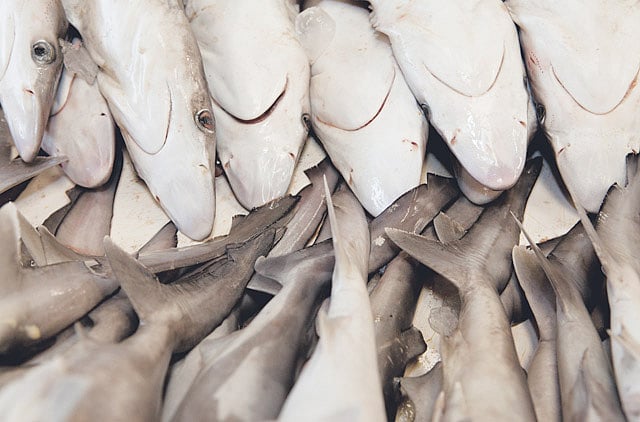 1.1290555-2834409657