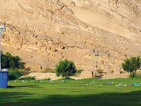 Sherwin Boston/Gulf News Reader 