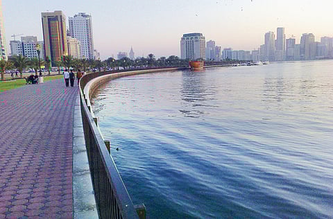 Agniyah Shaikh/Gulf News Reader 