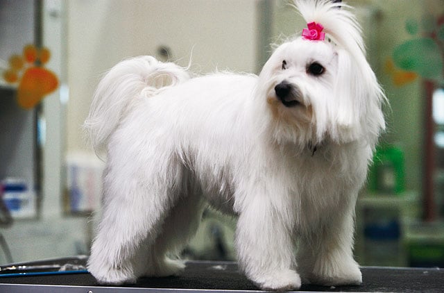 1.2126237-1886642458