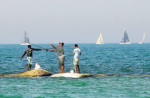 FRANCOIS NEL/Gulf News