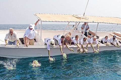 Oliver Clarke/Gulf News