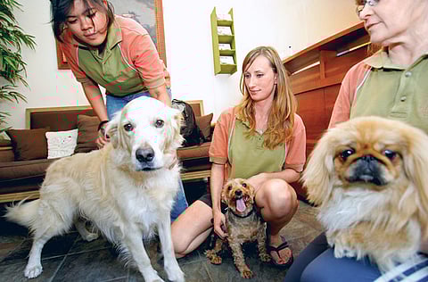 Zarina Fernandes/XPRESS 