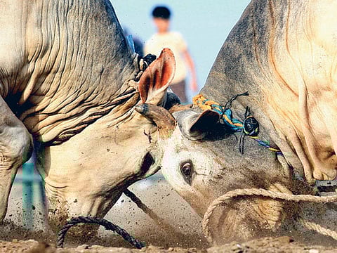 Ahmed Ramzan, Gulf News