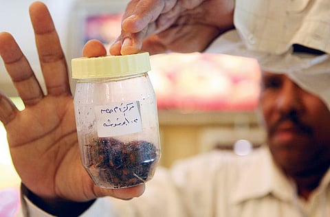 ALEX WESTCOTT/Gulf News