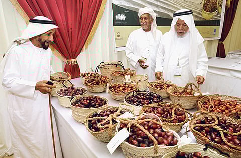 Abdul Rahman/Gulf News