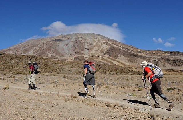 1.1193873-3417371964