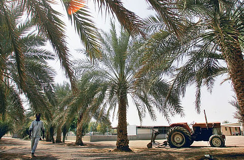 Gulf News archive