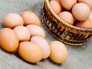 Are you consuming safe eggs?